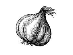 Garlic Bulb